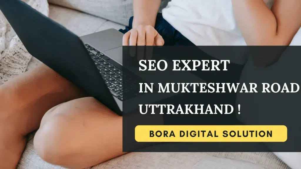 SEO Expert in Mukteshwar Road 